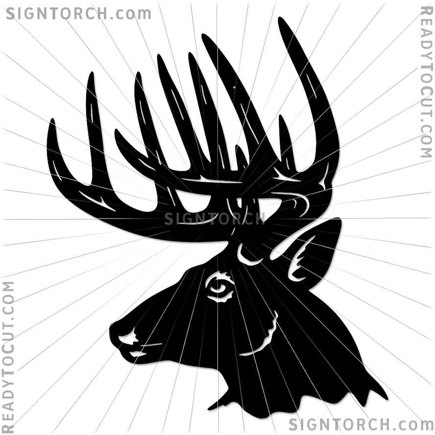 buck_deer_head6602.jpg