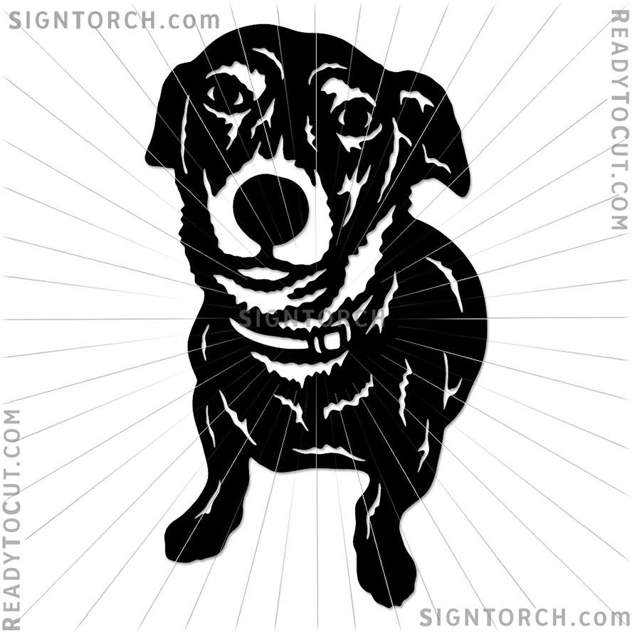 dog_portrait6421.jpg