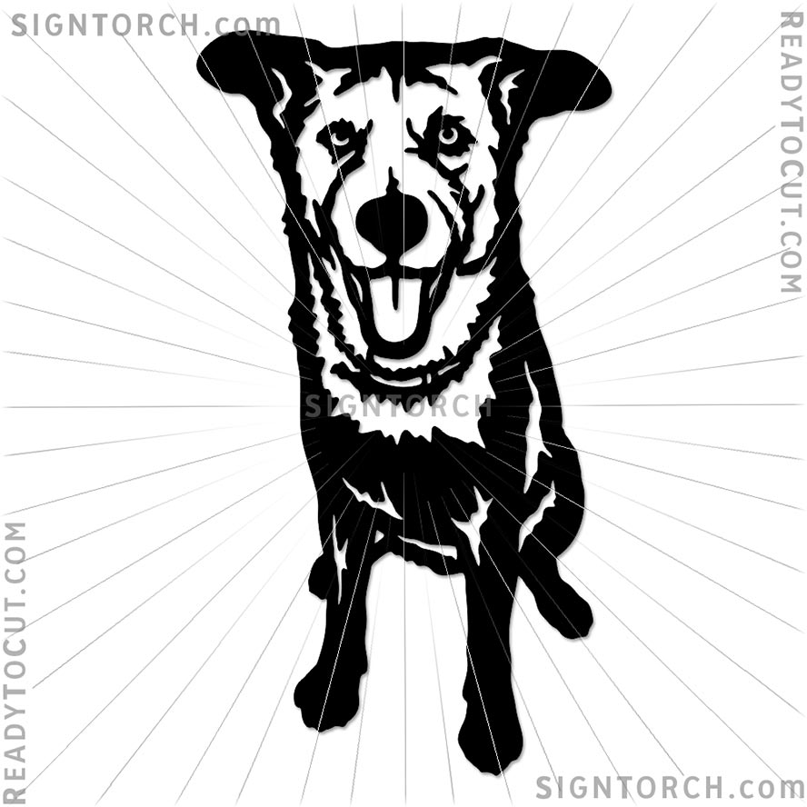 dog_portrait6456.jpg