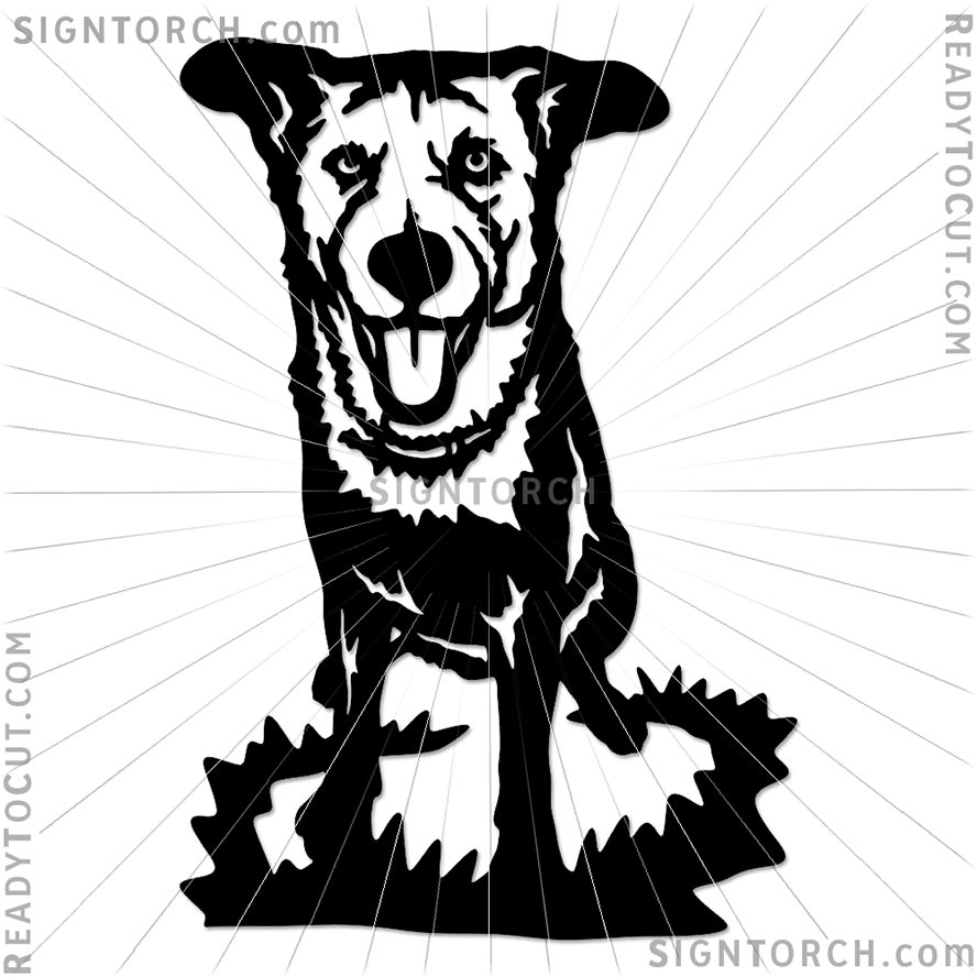 dog_portrait6456b.jpg