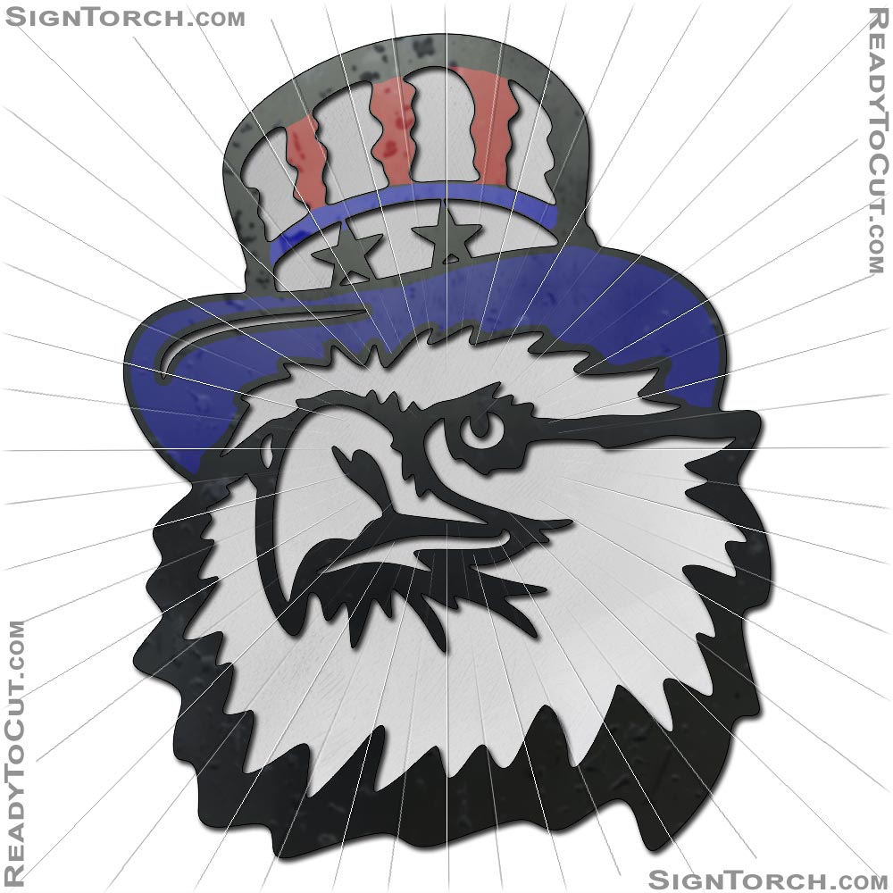 eagle_stars_and_bars_hat.jpg