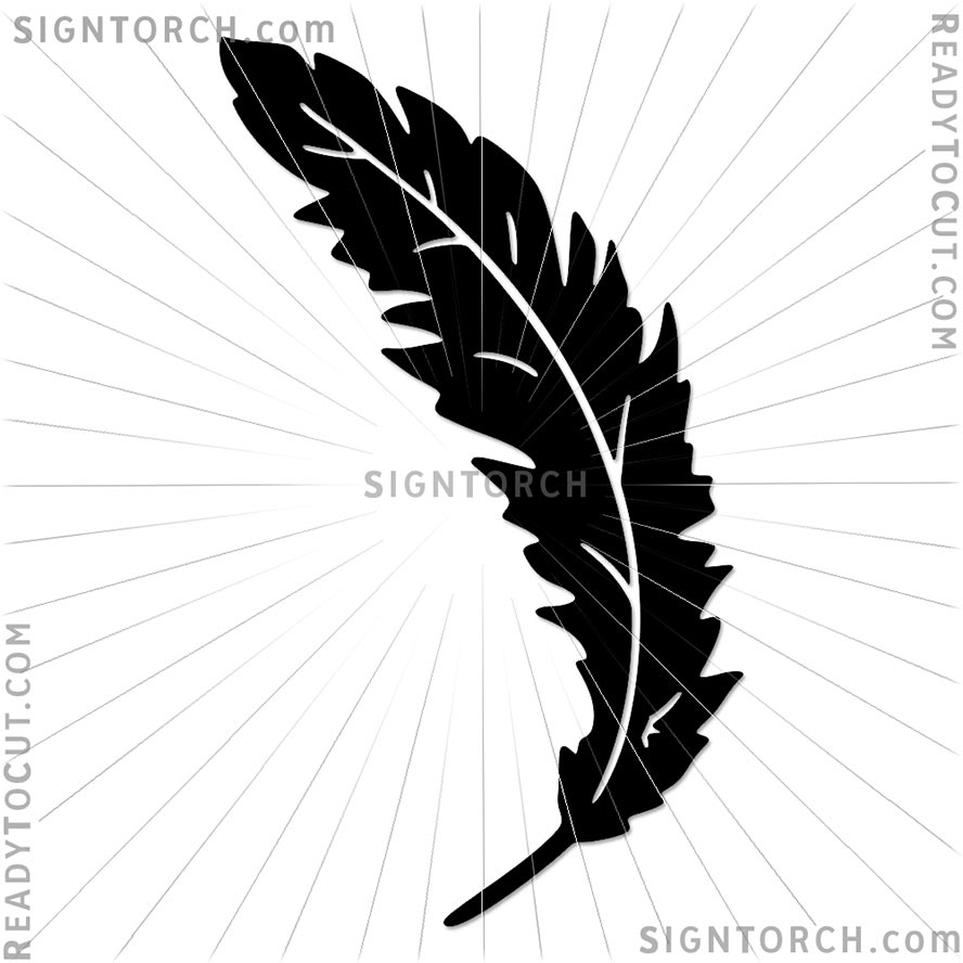 feather5602.jpg