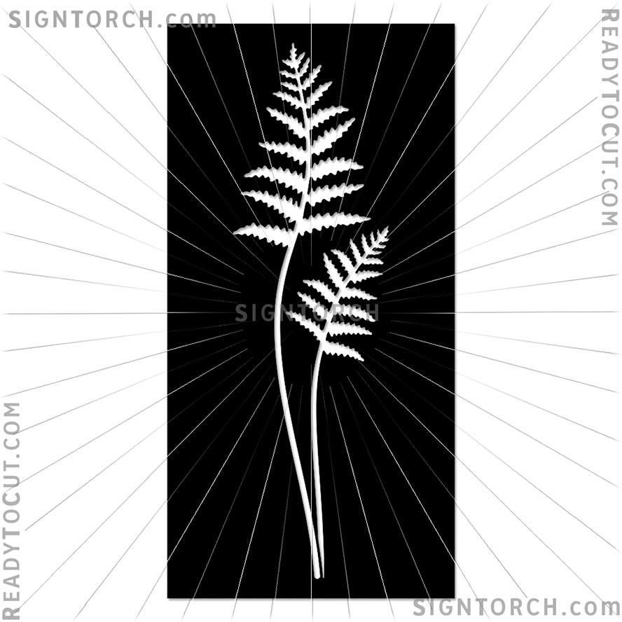 fern6411.jpg